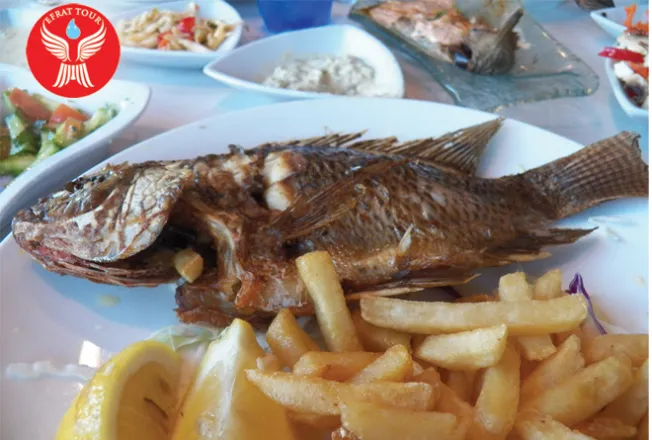 Artikel Ziarah Ikan Petrus 1 holyland_tour_st_peter_fish