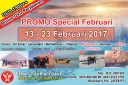 HOLYLAND TOUR Tour Ke Israel 13 - 23 Februari 2017 Egypt - Israel - Jordan + Hermon + Petra  <b>(PROMO)</b>